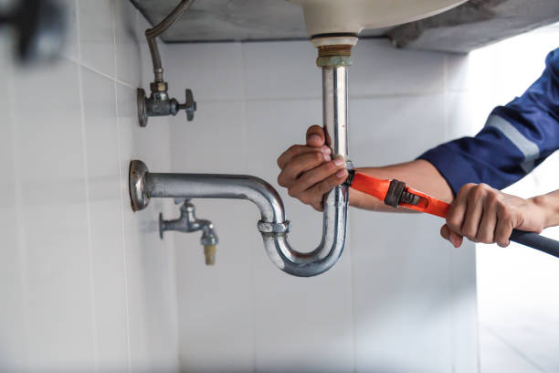 Best Plumbing Services Near Me  in Buffalo, MN